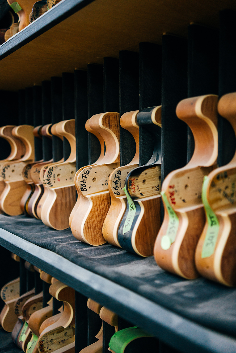 Why We Use Basswood For Our Instruments Ernie Ball Music Man